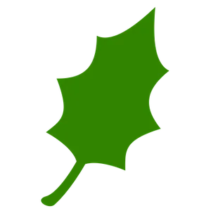 Green Maple Leaf Icon
