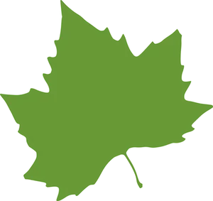 Green Maple Leaf Silhouette