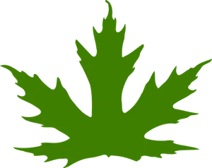 Green Maple Leaf Silhouette PNG image