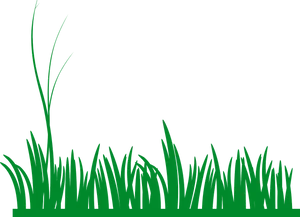 Green Meadow Grass Silhouette PNG image