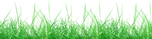 Green Meadow Grass Texture PNG image
