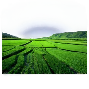 Green Mesa Fields PNG Bef