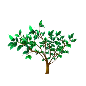 Green Money Tree Clipart Png 94 PNG image