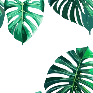 Green Monstera Leaf Png 06212024 PNG image