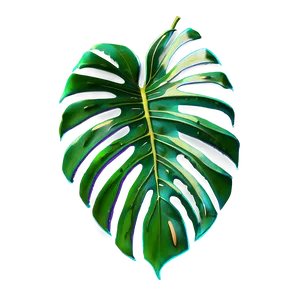 Green Monstera Leaf Png 55 PNG image