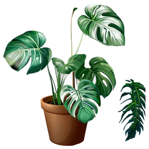 Green Monstera Plant Png 05232024 PNG image