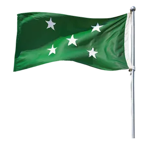 Green Movement Flag Png 06282024 PNG image