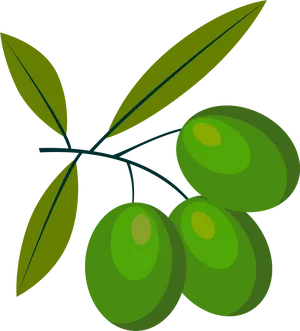 Green Olives Branch Vector PNG image