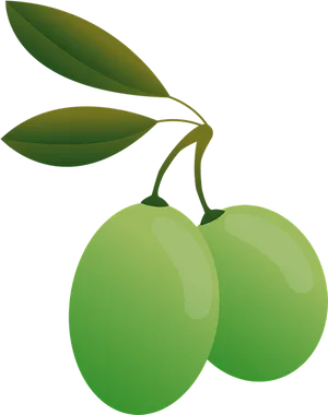 Green Olives Illustration PNG image