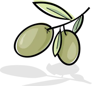 Green Oliveson Branch Illustration PNG