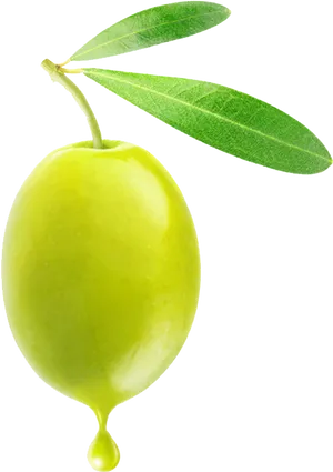 Green Olivewith Oil Drip PNG image