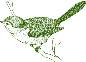 Green Outlined Bird Illustration