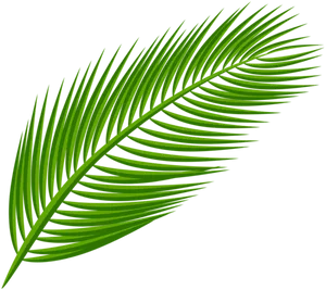 Green Palm Leaf Clipart PNG image