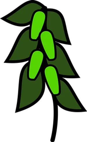 Green Peapod Icon