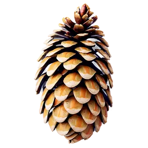 Green Pine Cone Png 67 PNG image