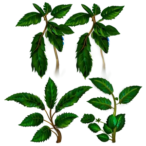 Green Plant Clipart Png 06272024 PNG image