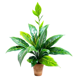 Green Plant PNG Csa5