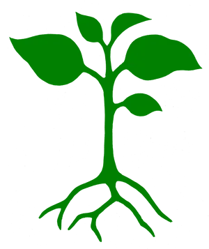 Green Plant Silhouetteon Black Background