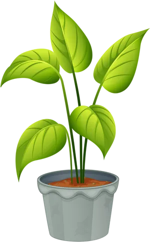 Green Plantin Decorative Pot PNG image