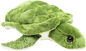 Green Plush Sea Turtle Toy PNG image