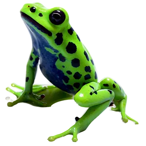 Green Poison Dart Frog Png 06132024 PNG image