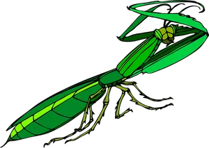 Green Praying Mantis Illustration PNG image