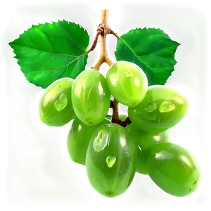 Green Raisins Realistic PNG Qpq PNG