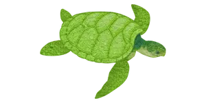 Green Sea Turtle Illustration
