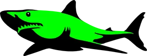Green Shark Illustration PNG image