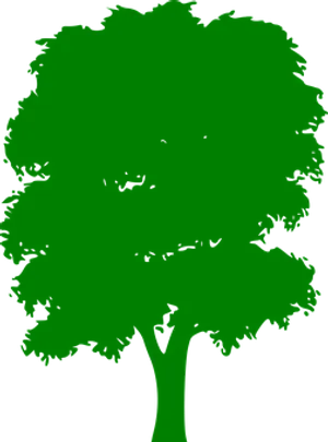 Green Silhouette Treeon Black Background
