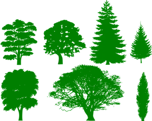 Green Silhouette Treeson Black Background PNG image