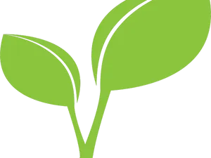 Green Simple Leaf Clipart PNG image