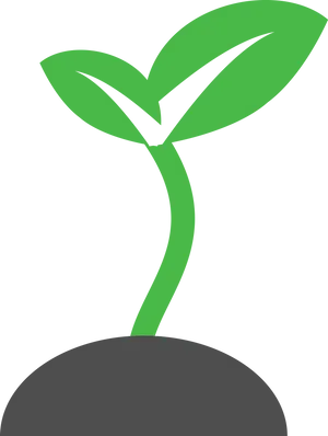 Green Sprout Growth Graphic PNG image