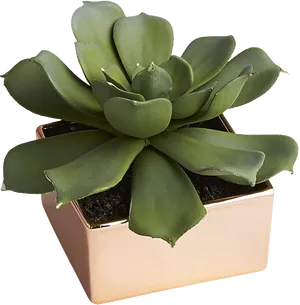 Green Succulentin Copper Pot PNG image