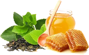 Green Tea Honey Ingredients PNG