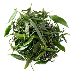 Green Tea Leaves PNG Qmv14