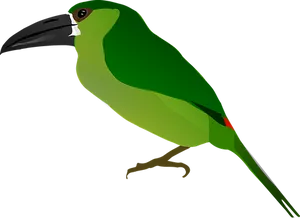 Green Toucan Vector Illustration