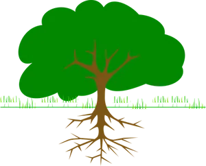 Green Tree Black Background
