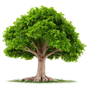 Green Tree Line PNG 06292024 PNG