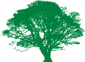 Green Tree Silhouette
