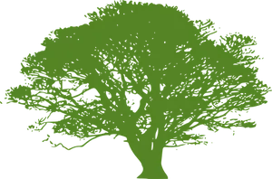 Green Tree Silhouetteon Black Background