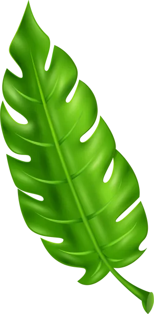 Green Tropical Leaf Clipart PNG image