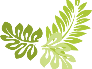 Green Tropical Leaves Graphic PNG image