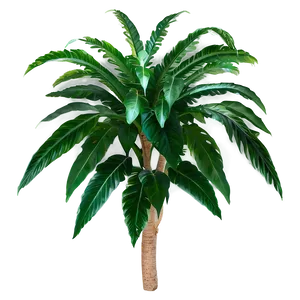 Green Tropical Plant Png 06272024 PNG image