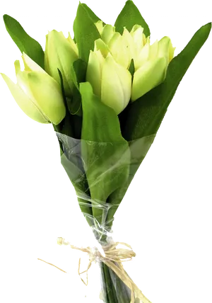 Green Tulip Bouquet PNG image