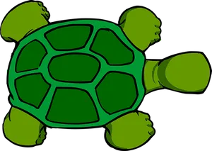 Green Turtle Graphic PNG image