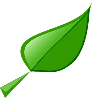Green Vector Leaf Illustration