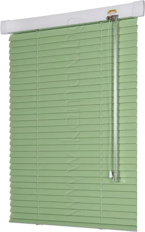 Green Venetian Blind PNG image