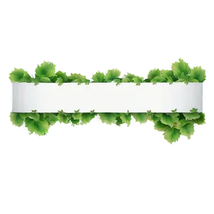 Green Vine Banner Graphic PNG image