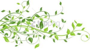 Green Vine Flourish Black Background PNG image